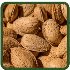 تصویر 1 از فروش عمده بادام درختی ارگانیک + مناسب تولید کنندگان روغن بادام